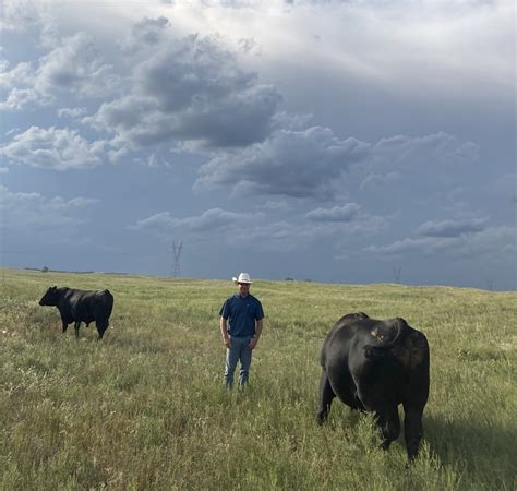 Walmart announces investment in North Platte beef processing facility
