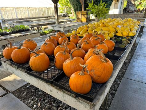 Sonoma County Foodies