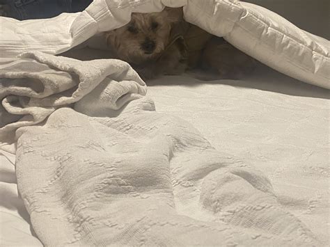 Britley Ritz on Twitter: "Ariah wants to know when the sun comes back