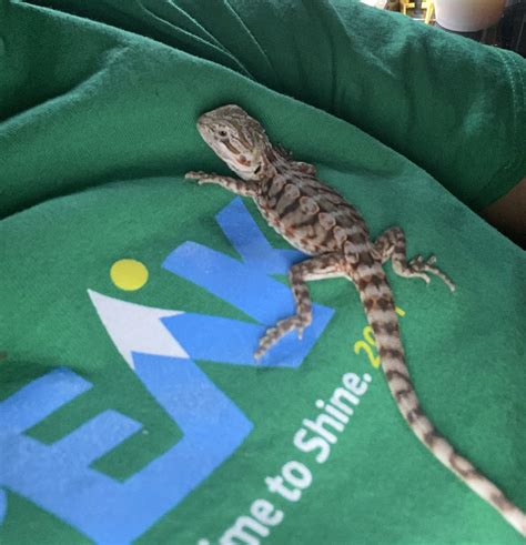 How long should I have him on me?Please just understand I don’t wanna