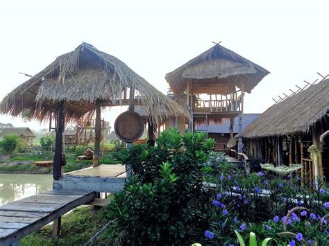 "รักษ์นาโคก ฟาร์มสเตย์” รักบ้านเกิดภายใต้เศรษฐกิจพอเพียง | KORATDAILY