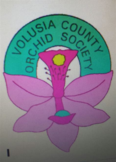 Volusia County Orchid Society Show — Bredren Orchids