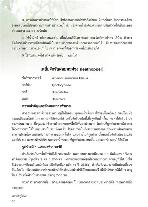 แมลงศัตรูไม้ผล - Yanyong Chalermsan - หน้าหนังสือ 60 | พลิก PDF ออนไลน์