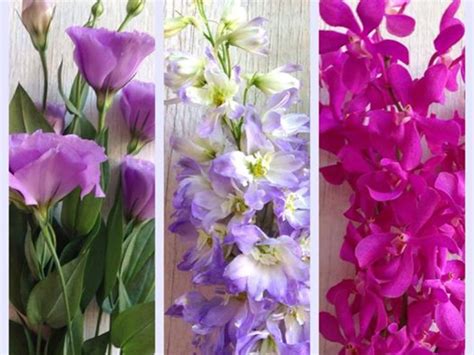 J Lin Massage & Beauty Spa - TORONTO, ON - 677 The Queensway | Canpages