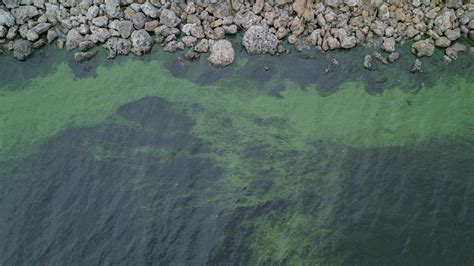 Idalia Threatens to Stir Up Lake Okeechobee’s Toxic Algae Blooms - The