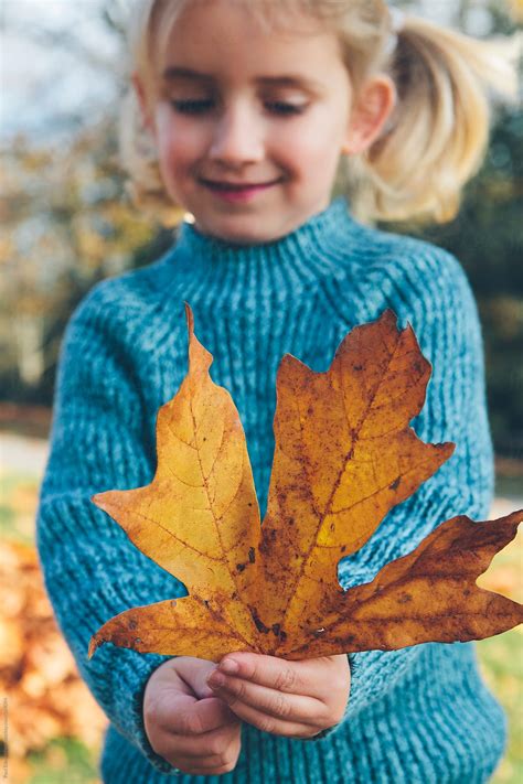 "Happy Four Year Old Girl Holding Large Maple Leaf In Autumn" by