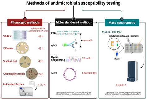 Serial Dilution Tracking Bacterial Population Size An - vrogue.co