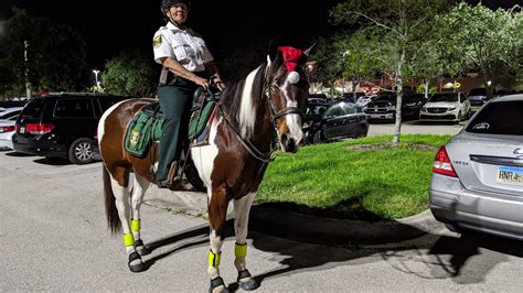 Photos: Lee Sheriff’s mounted patrol