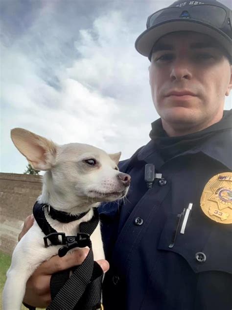 What Do Citrus County Police Dogs Eat – Ask Pet Guru