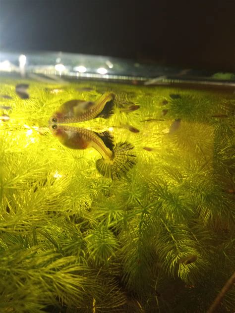 What hobbies do you have? : r/Hobbies