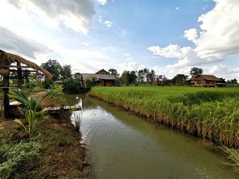 "รักษ์นาโคก ฟาร์มสเตย์” รักบ้านเกิดภายใต้เศรษฐกิจพอเพียง | KORATDAILY