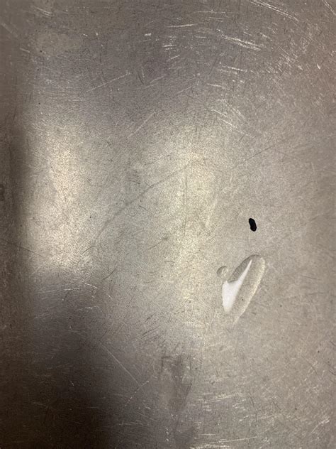 Anyone know what this black speck is? Found it in my kitchen sink and