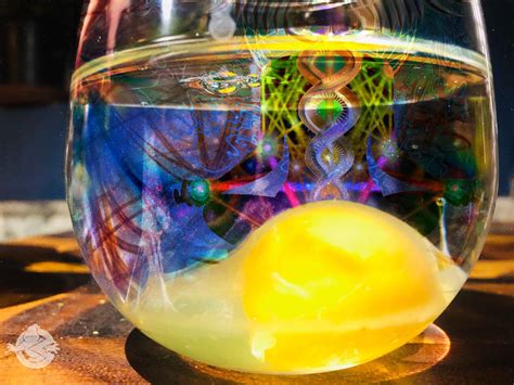 Egg Magick: Cleansing and Reading | 25+ Witch Coven Amino